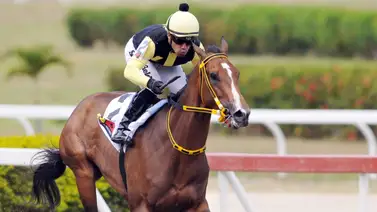 Así quedaron los resultados de las carreras en La Rinconada 19-1-2025 Así quedaron los resultados de las carreras en La Rinconada 19-1-2025