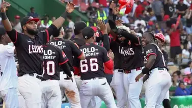 LIDOM: Conoce el precio de los abonos para la serie final de la pelota dominicana (+Detalles) LIDOM: Conoce el precio de los abonos para la serie final de la pelota dominicana (+Detalles)