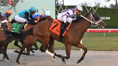 Dupla de Kentucky Winners ganan una carrera este domingo en Gulfstream Park Dupla de Kentucky Winners ganan una carrera este domingo en Gulfstream Park