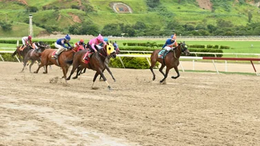 Aprendiz ganador de meeting no montó ayer en La Rinconada por esta razón