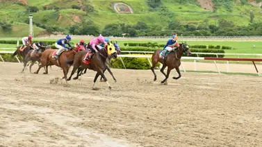 Aprendiz ganador de meeting no montó ayer en La Rinconada por esta razón Aprendiz ganador de meeting no montó ayer en La Rinconada por esta razón