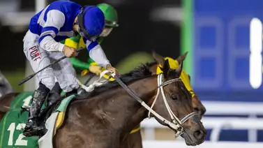 Caballo que más dinero produjo en el mundo en 2024 se va a la cría Caballo que más dinero produjo en el mundo en 2024 se va a la cría