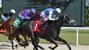 José Francisco D’Angelo supera esta cantidad de victorias y pelea el meeting con Saffie Joseph Jr. José Francisco D’Angelo supera esta cantidad de victorias y pelea el meeting con Saffie Joseph Jr.