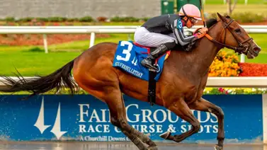 Simply Joking mantiene el invicto y se queda con 20 puntos para la Oaks Simply Joking mantiene el invicto y se queda con 20 puntos para la Oaks