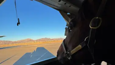 Esta fue la conmovedora despedida de Junior Alvarado con Señor Buscador Esta fue la conmovedora despedida de Junior Alvarado con Señor Buscador