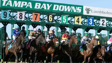 Jockeys venezolanos ganan 11 de las 18 carrera del fin de semana en Tampa Bay Downs Jockeys venezolanos ganan 11 de las 18 carrera del fin de semana en Tampa Bay Downs