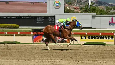 El LXXVI Clásico Inauguración “Francisco de Miranda” (G2) trajo consigo un dato curioso en La Rinconada El LXXVI Clásico Inauguración “Francisco de Miranda” (G2) trajo consigo un dato curioso en La Rinconada