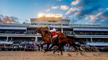 La Pegasus World Cup G1 de $3.000.000 es este sábado 25 en Gulfstream Park La Pegasus World Cup G1 de $3.000.000 es este sábado 25 en Gulfstream Park