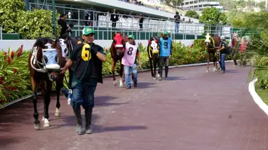 La segunda reunión del año en La Rinconada tiene diez carreras que repartirá $171.000 en su premiación adiciona La segunda reunión del año en La Rinconada tiene diez carreras que repartirá $171.000 en su premiación adiciona