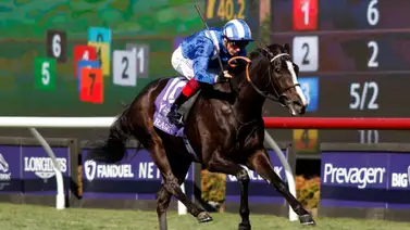 La irlandesa Raqiya lista para la Pegasus F&M Turf (G2) La irlandesa Raqiya lista para la Pegasus F&M Turf (G2)