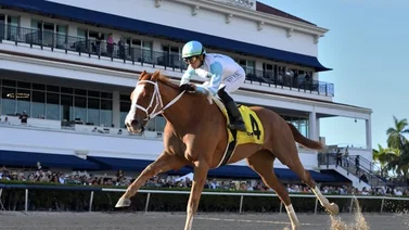 Yegua de entrenador venezolano reta a los machos en la Pegasus World Cup 2025