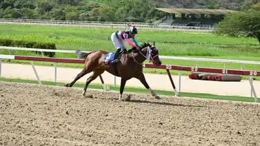 Yegua que estará entre las favoritas regresa luego de 224 días de espera para repetir victoria en La Rinconada Yegua que estará entre las favoritas regresa luego de 224 días de espera para repetir victoria en La Rinconada