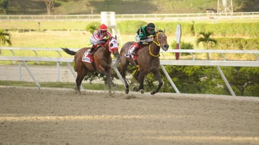 Caballo ganador selectivo retorna a la pista tras 350 días de ausencia en La Rinconada