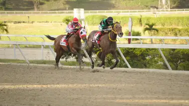 Caballo ganador selectivo retorna a la pista tras 350 días de ausencia en La Rinconada Caballo ganador selectivo retorna a la pista tras 350 días de ausencia en La Rinconada