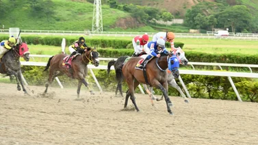 El talento de King Seraf se verá reflejado en su hijo un caballo que retorna a la competencia tras 189 días sin correr