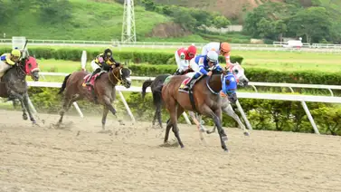 El talento de King Seraf se verá reflejado en su hijo un caballo que retorna a la competencia tras 189 días sin correr El talento de King Seraf se verá reflejado en su hijo un caballo que retorna a la competencia tras 189 días sin correr