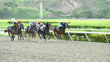 Pendiente con esta yegua que vuelve a la pista después de 196 días y una victoria en 65.1 en la arena de La Rinconada