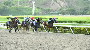 Pendiente con esta yegua que vuelve a la pista después de 196 días y una victoria en 65.1 en la arena de La Rinconada Pendiente con esta yegua que vuelve a la pista después de 196 días y una victoria en 65.1 en la arena de La Rinconada