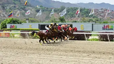 El caballo que retó al superior Padel regresa a la arena de La Rinconada después de 175 días El caballo que retó al superior Padel regresa a la arena de La Rinconada después de 175 días