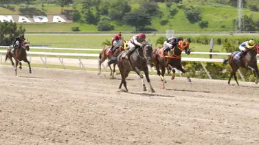 Nieto de un figurador de la Dubai World Cup esta de regreso luego de 518 días sin correr en La Rinconada Nieto de un figurador de la Dubai World Cup esta de regreso luego de 518 días sin correr en La Rinconada
