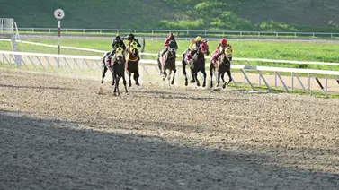 Este ejemplar regresa tras 84 Días y un puesto de pista que lo favorece en el óvalo de La Rinconada Este ejemplar regresa tras 84 Días y un puesto de pista que lo favorece en el óvalo de La Rinconada