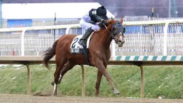 Observa cómo Mychel Sánchez retomó el ritmo ganador en los Estados Unidos Observa cómo Mychel Sánchez retomó el ritmo ganador en los Estados Unidos