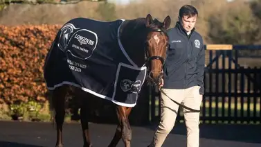 City of Troy es premiado como el mejor caballo del mundo en está superficie City of Troy es premiado como el mejor caballo del mundo en está superficie