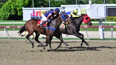Yegua favorita en sus últimas tres carreras vuelve tras 49 Días sin correr Yegua favorita en sus últimas tres carreras vuelve tras 49 Días sin correr