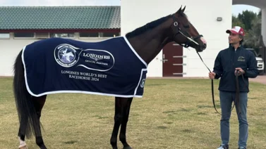 Este hijo de Into Mischief es nombrado el mejor caballo del mundo en arena del 2024