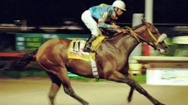 Top 10 de los grandes pisteros de Venezuela Top 10 de los grandes pisteros de Venezuela