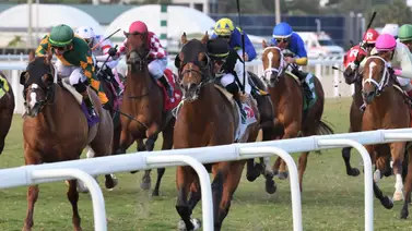 Aquí el Best Best y los Picks para la jornada en Gulfstream Park 22-01-2025 + Retirados Aquí el Best Best y los Picks para la jornada en Gulfstream Park 22-01-2025 + Retirados