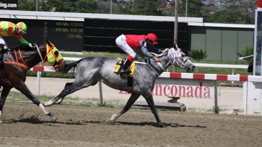 Jockey que tiene 11 años sin ganar en La Rinconada con chance este domingo 26 de enero