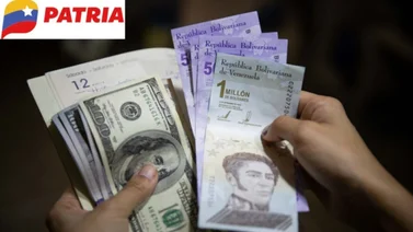 Bono Economía Familiar: ¿Cuándo lo pagarían en el mes de enero? (+Fecha) 