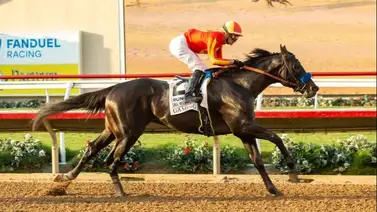 Jinete venezolano buscará un millón de dólares este fin de semana Jinete venezolano buscará un millón de dólares este fin de semana