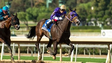 Jockey italiano campeón en Santa Anita montará en la Pegasus World Cup 2025
