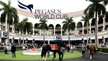 Mira los montos estimados que se jugará el sábado en el Pegasus Day Mira los montos estimados que se jugará el sábado en el Pegasus Day
