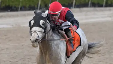 Venezolanos están listo para quedarse con la octava carrera sabatina en Gulfstream Park Venezolanos están listo para quedarse con la octava carrera sabatina en Gulfstream Park