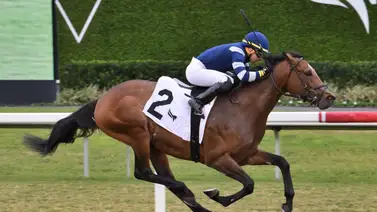 “Back to Back” para Edgar Pérez en la jornada del miércoles en la Florida “Back to Back” para Edgar Pérez en la jornada del miércoles en la Florida