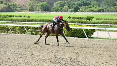 Con este ajuste esta yegua aspira a desafiar a una de las fijas del 5y6 en La Rinconada Con este ajuste esta yegua aspira a desafiar a una de las fijas del 5y6 en La Rinconada