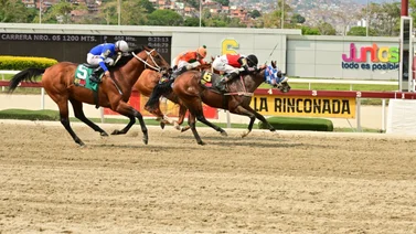 Ajuste cómodo y remate de 12.2 de este ejemplar lo hace temible en La Rinconada