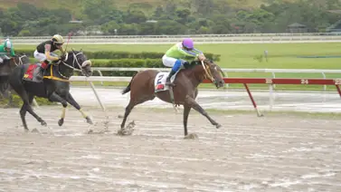 La carrera de los acumulados trae consigo un ejemplar que como ajustó puede tumbar los cuadros del 5y6 La carrera de los acumulados trae consigo un ejemplar que como ajustó puede tumbar los cuadros del 5y6