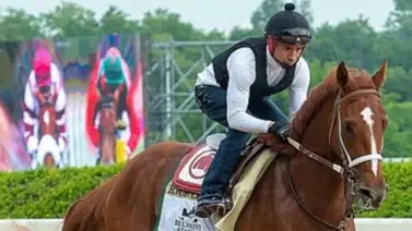 Entérate cual es la nueva casa del ganador del Kentucky Derby Entérate cual es la nueva casa del ganador del Kentucky Derby