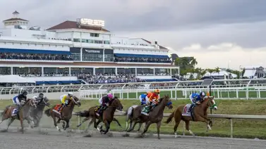 El sábado debuta un hijo de Gun Runner en Gulfstream Park que costó 1.150.000$ El sábado debuta un hijo de Gun Runner en Gulfstream Park que costó 1.150.000$