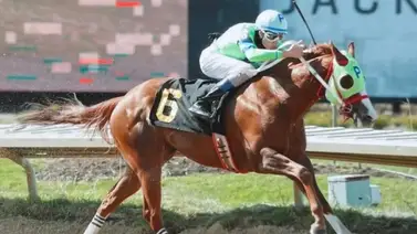 Tres para José Armando Bracho en Mahonning Valley Tres para José Armando Bracho en Mahonning Valley