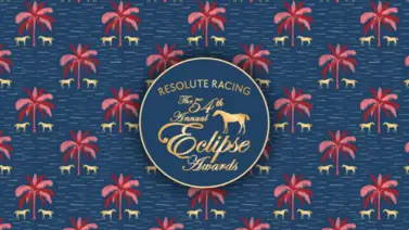 Así quedó la votación oficial de los premios Eclipse 2024 Así quedó la votación oficial de los premios Eclipse 2024