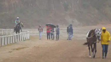 Favoritos de la cátedra para el 5y6 Nacional de la reunión N°2 en el hipódromo La Rinconada Favoritos de la cátedra para el 5y6 Nacional de la reunión N°2 en el hipódromo La Rinconada