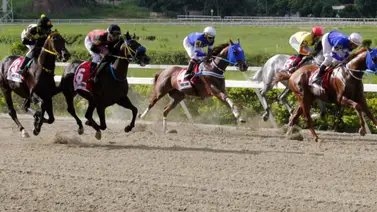 Ejemplares en La Rinconada Ejemplares en La Rinconada