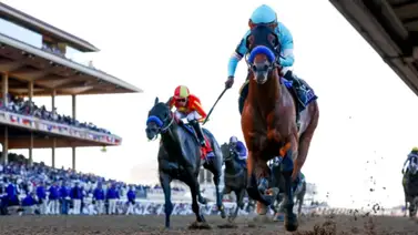 Citizen Bull se erigió como campeón macho de 2 años Citizen Bull se erigió como campeón macho de 2 años