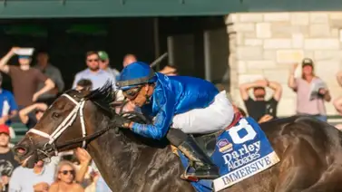 Immersive quedó como la mejor potra de dosañera del año Immersive quedó como la mejor potra de dosañera del año