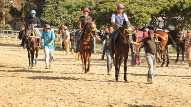 Ejemplares durante los ejercicios de traques en arena de La Rinconada.